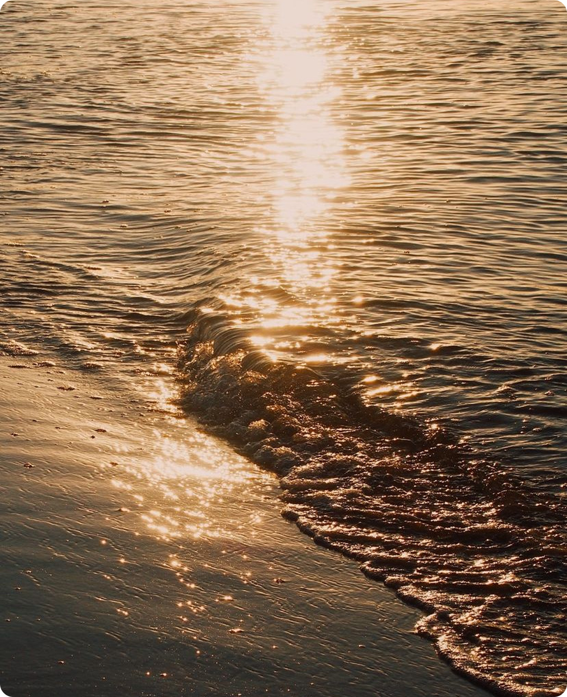 the power of holistic chiropractic